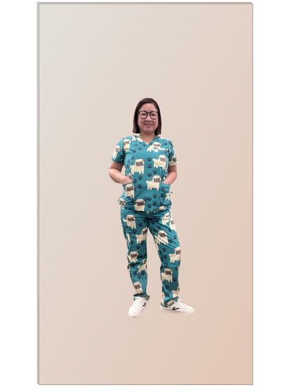 Pug in Scrubs