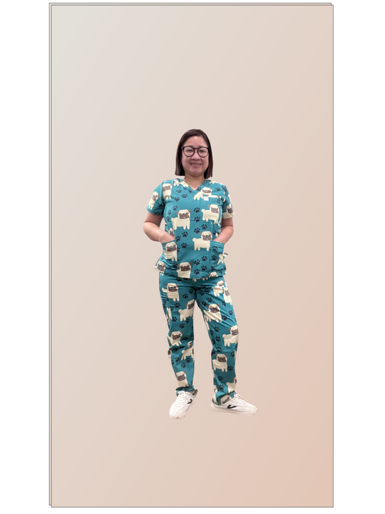Pug in Scrubs